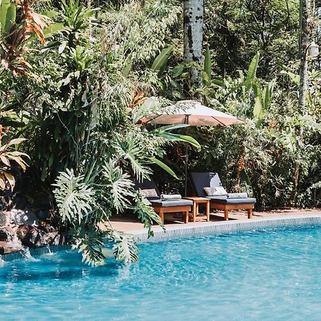Overo Lodge & Selva Puerto Iguazú Zewnętrze zdjęcie